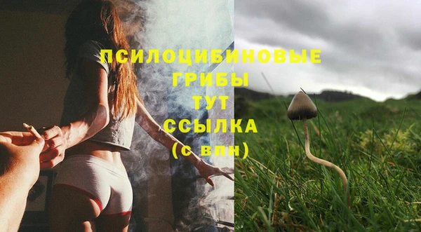 Альфа ПВП Алексеевка