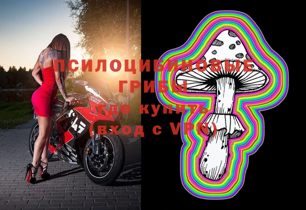 гидропоника Алзамай