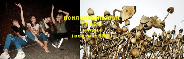 Альфа ПВП Алексеевка